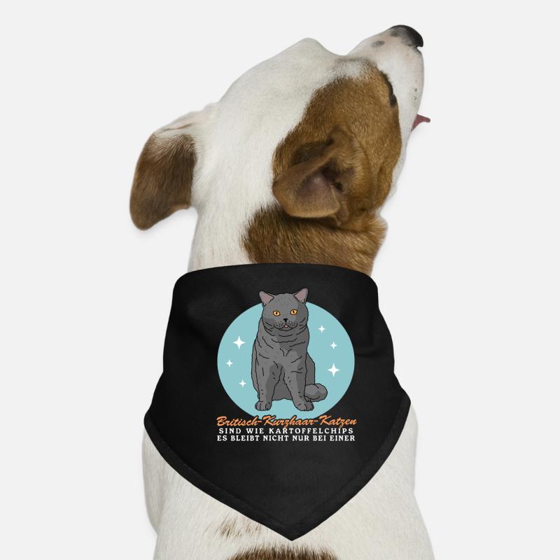 Britisch Kurzhaar Katze Katzenbesitzer Geschenk Hunde-Bandana