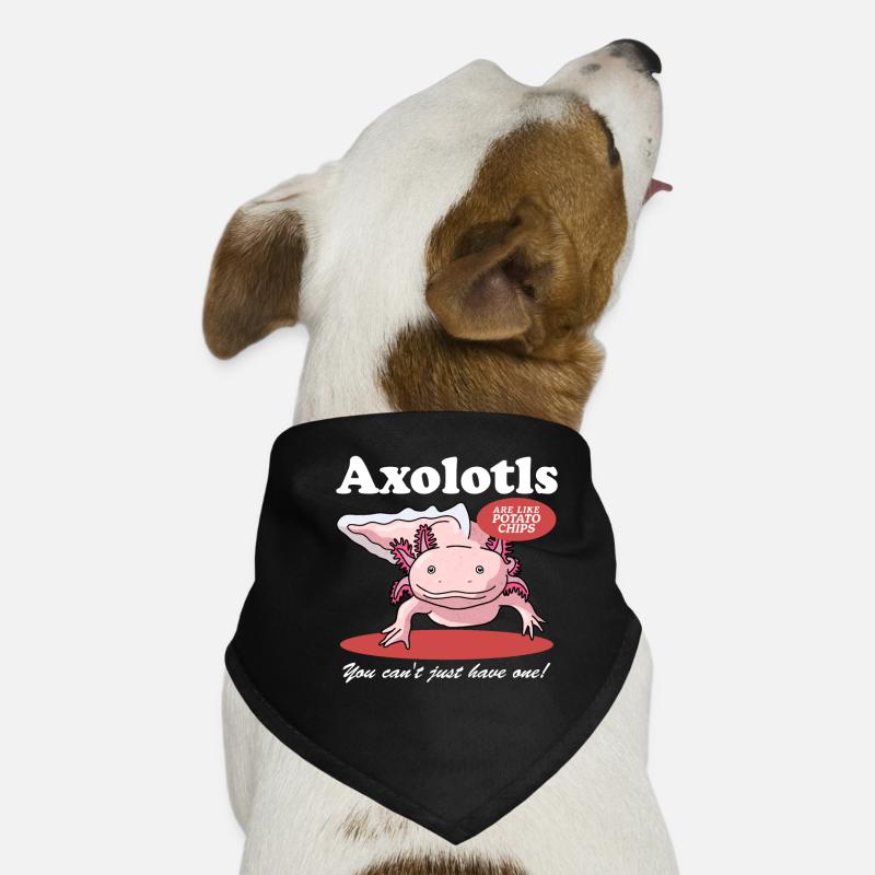 Axolotl amphibiens à queue Axolotls amphibiens cadeau Bandana pour chien