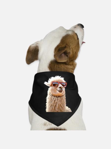 Alpaka Sonnenbrille Lama Papa Mama Liebe Alpakas - Hunde-Bandana - Schwarz - Vorne