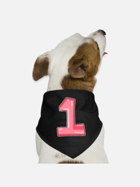 1 - Bandana pour chien - noir - Devant