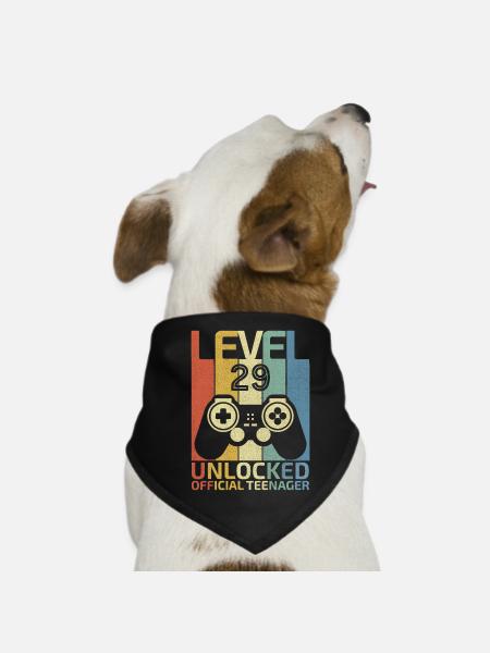 Level 29 Freigeschalteter offizieller Teenager - Hunde-Bandana - Schwarz - Vorne