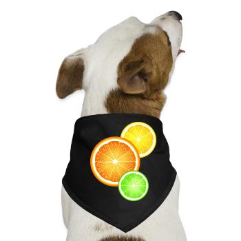 Zitrusfrüchte Orange Zitrone Limette - Hunde-Bandana - Schwarz - Vorne