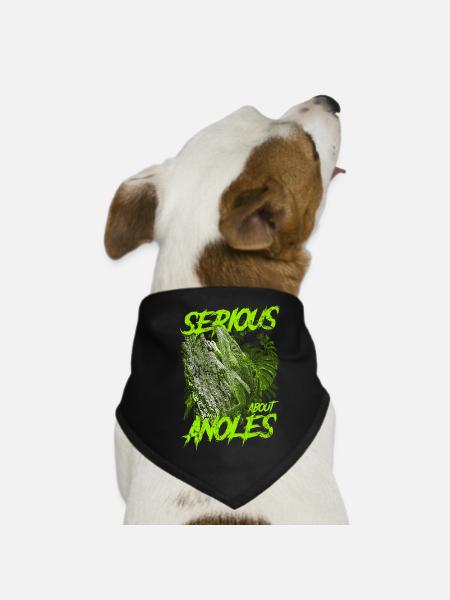 Sérieux au sujet du chevalier cubain Anoles gardien de reptiles - Bandana pour chien - noir - Devant