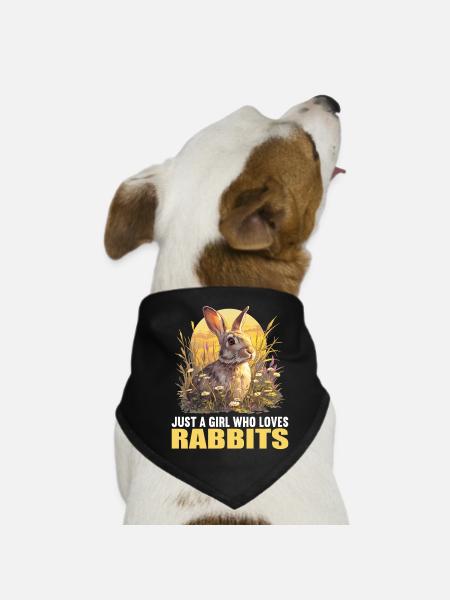 Hasen Hase - Hunde-Bandana - Schwarz - Vorne