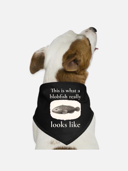 Blobfish Really Looks Like – Enlightenment Design - Dog Bandana - black - Front