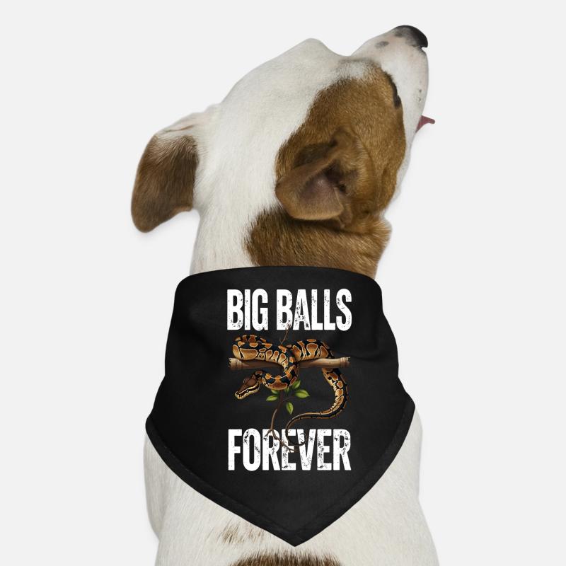 King Python Snakes Lover Terrarium Python Dog Bandana