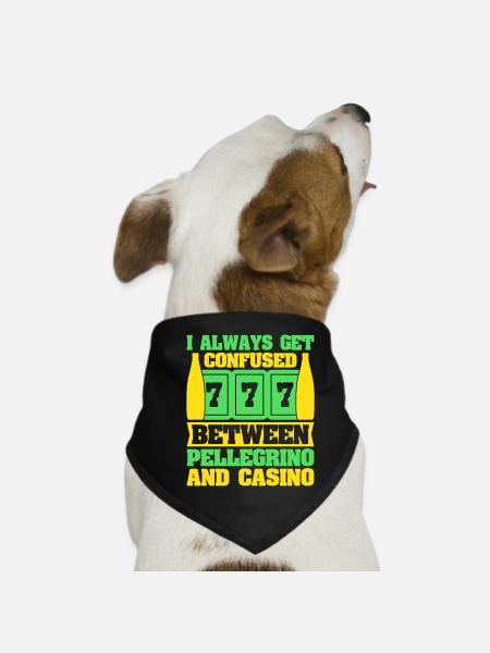 Gambling Fan Confused Between Pellegrino & Casino - Dog Bandana - black - Front