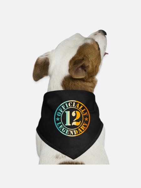 12e anniversaire Garçon Fille Légende Niveau 12 - Bandana pour chien - noir - Devant