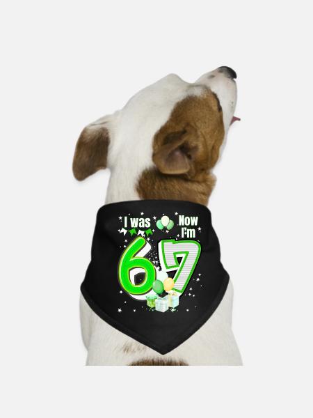 I was 6 Now Im 7 Birthday Shirt Kids 7 Birthday - Bandana pour chien - noir - Devant