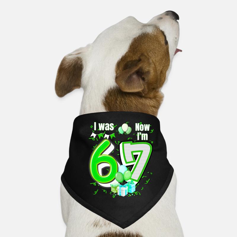 Ich war 6 Jetzt bin ich 7 Geburtstagsshirt Kinder 7 Geburtstag Hunde-Bandana
