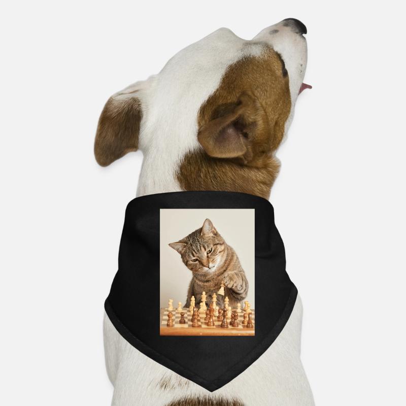 Katze spielt Schach Hunde-Bandana