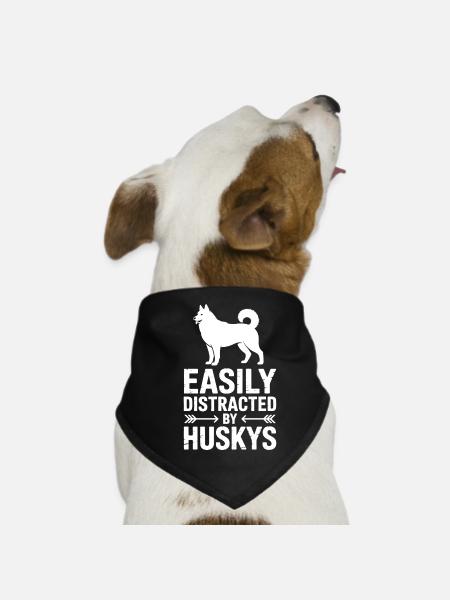 Husky Sayings Huskies Funny Husky Gift - Dog Bandana - black - Front