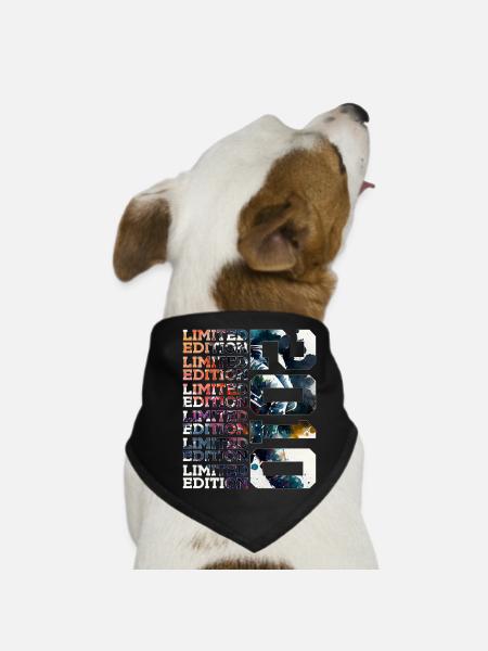 WELTRAUM 16 JAHRE 2010 ASTRONAUT 16. GEBURTSTAG - Hunde-Bandana - Schwarz - Vorne