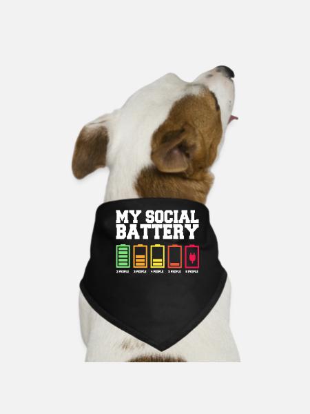 Meine Soziale Batterie Ist Niedrig - Hunde-Bandana - Schwarz - Vorne