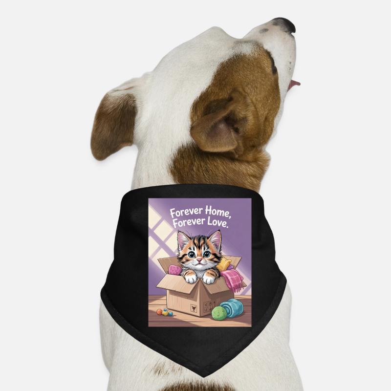 Forever Home Kitten in Box Dog Bandana