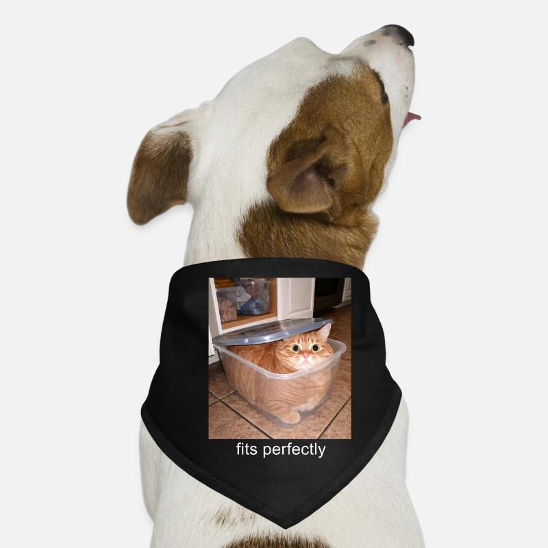 Fits Perfectly Cat Meme Funny Humor Dog Bandana