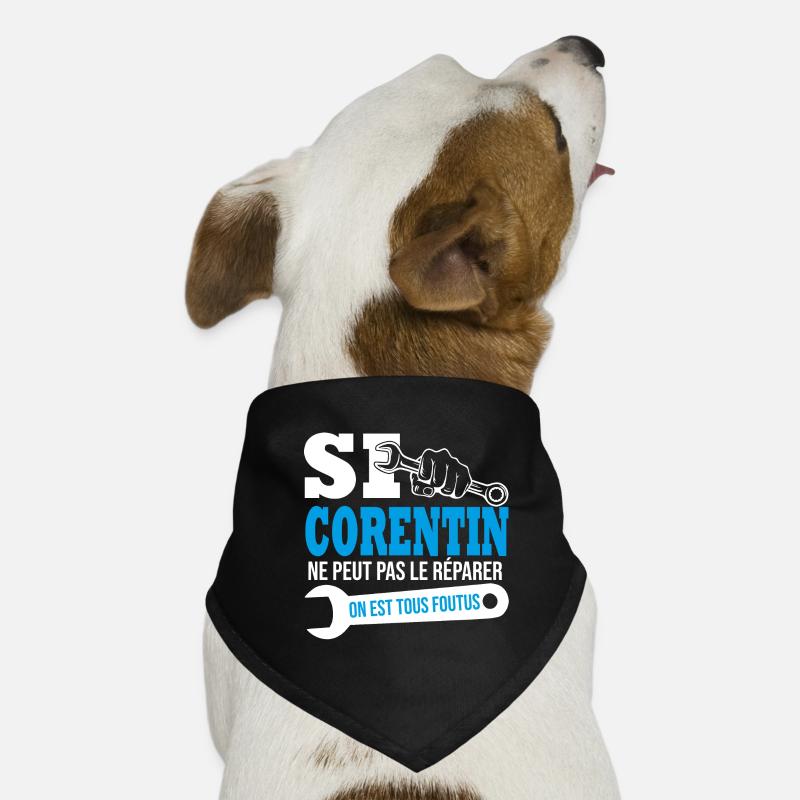 Si Corentin ne peut pas le réparer on est foutus Bandana pour chien