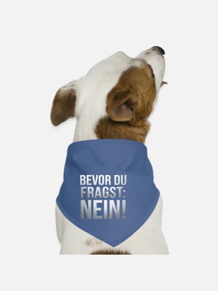Bevor du Fragst Nein Sprüche - Hunde-Bandana - Rot - Vorne
