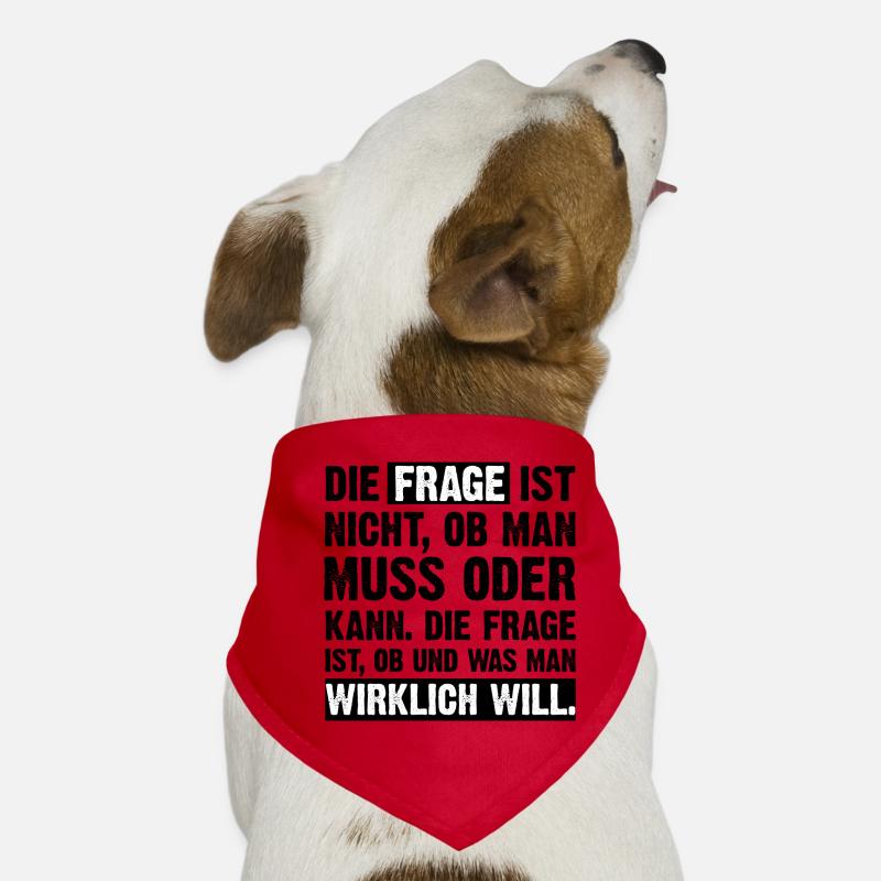 Die Frage ist... Hunde-Bandana