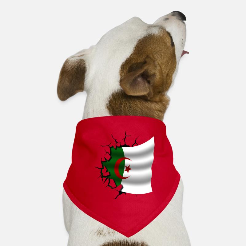 Algeria - Algeria - Torn Flag Dog Bandana