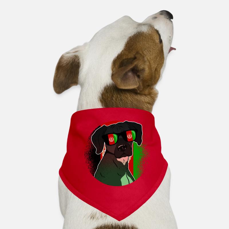 Afghanistan Hunde-Bandana