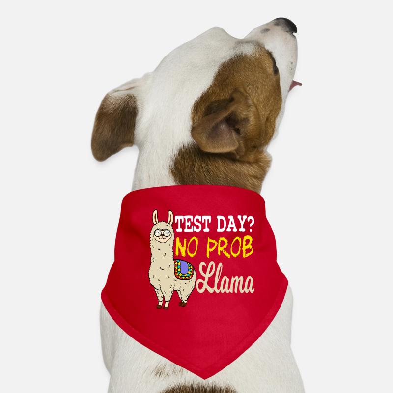 Testtag? Kein prob Lama Shirt mit einem süßen Hunde-Bandana
