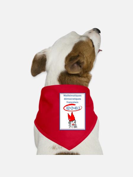 Mathématiques démocratiques françaises - Bandana pour chien - rouge - Devant