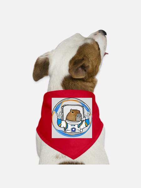 Casquettes astro - Bandana pour chien - rouge - Devant