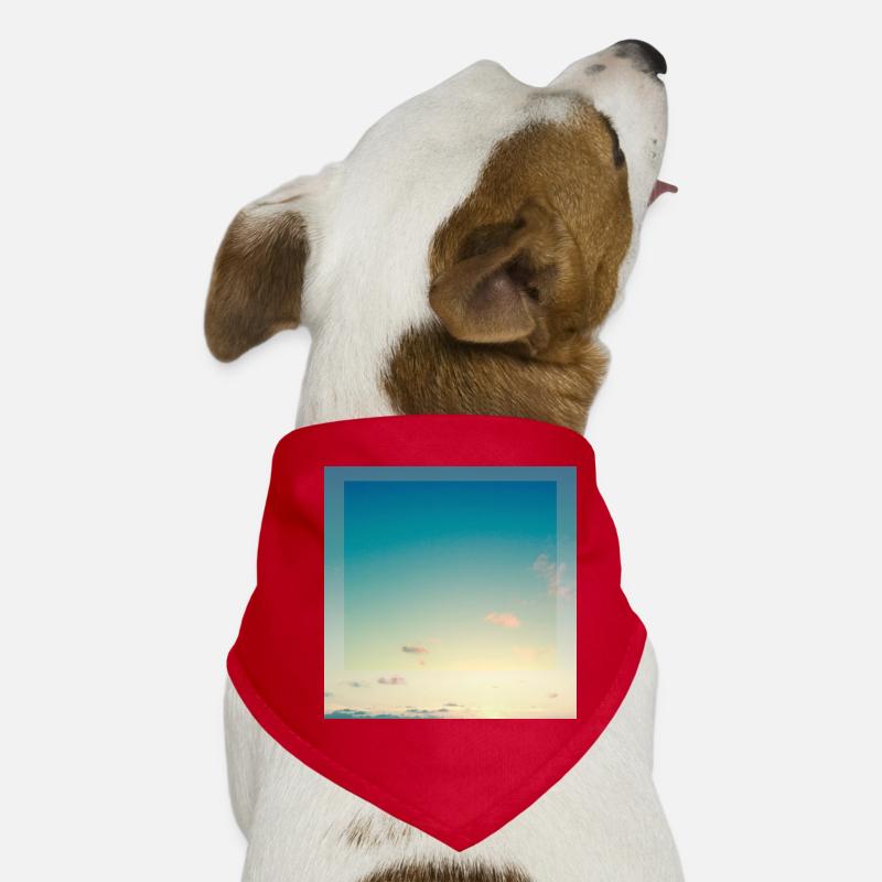 Sky Dog Bandana