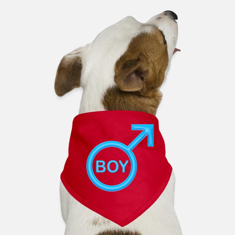 Boy Dog Bandana