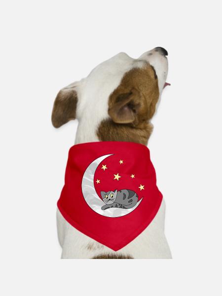 chat - Bandana pour chien - rouge - Devant