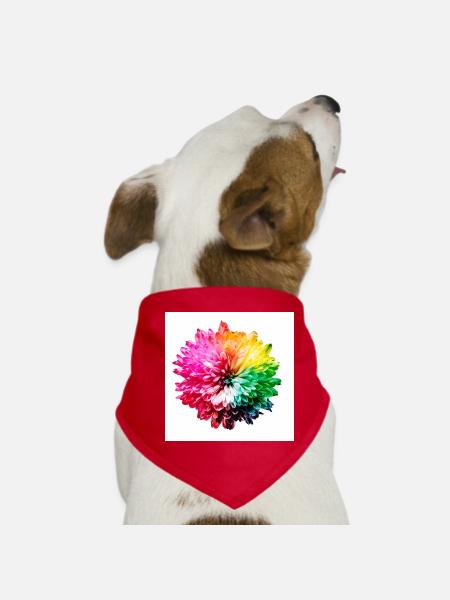 Regenbogen Blüte Explosion - Hunde-Bandana - Rot - Vorne