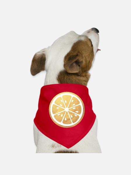 Lemon Summer Gold Citrus Luxury Dolce Vita - Dog Bandana - red - Front