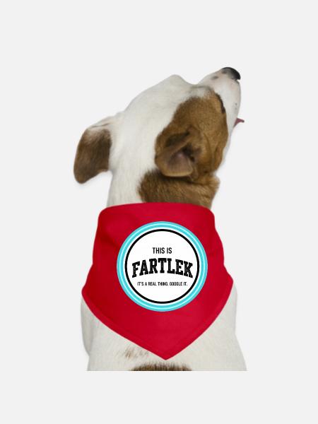1_4 - Bandana pour chien - rouge