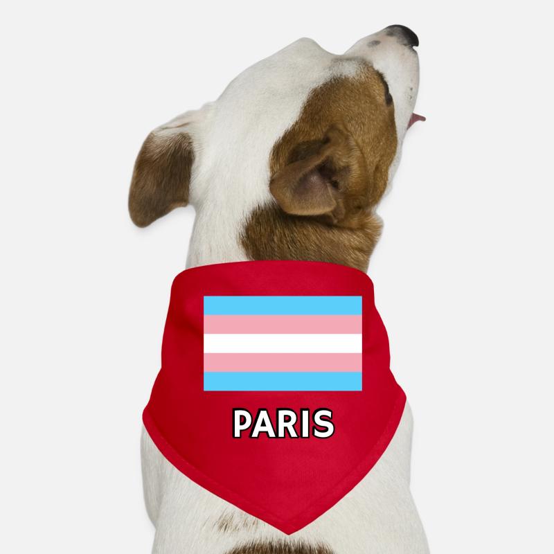 Trans Pride Flag Paris Dog Bandana