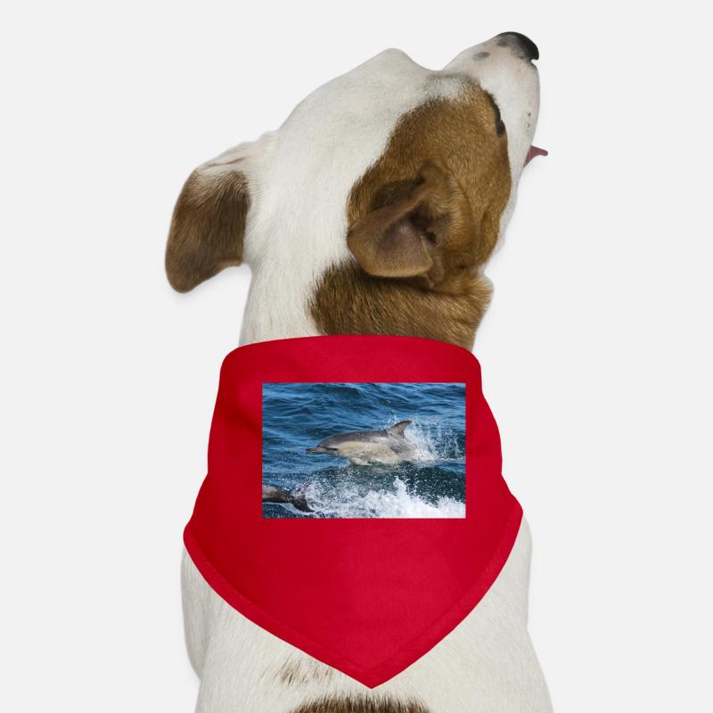 Delfin Hunde-Bandana
