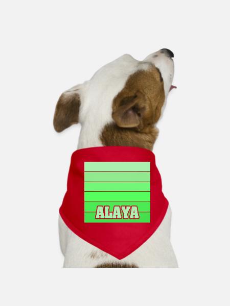Geschenk für Alaya - Hunde-Bandana - Rot - Vorne