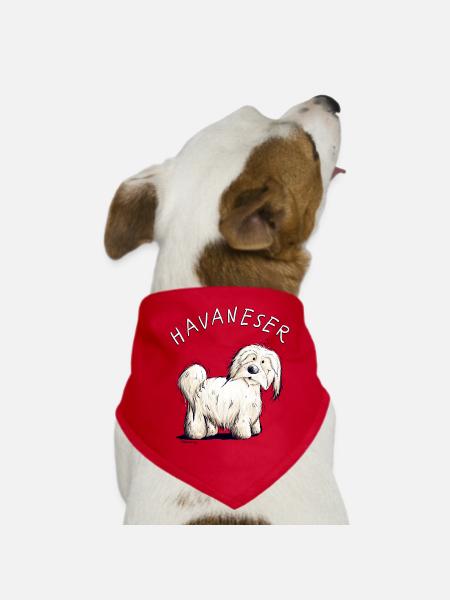 Little Havanese dog i dog friend gift - Dog Bandana - red
