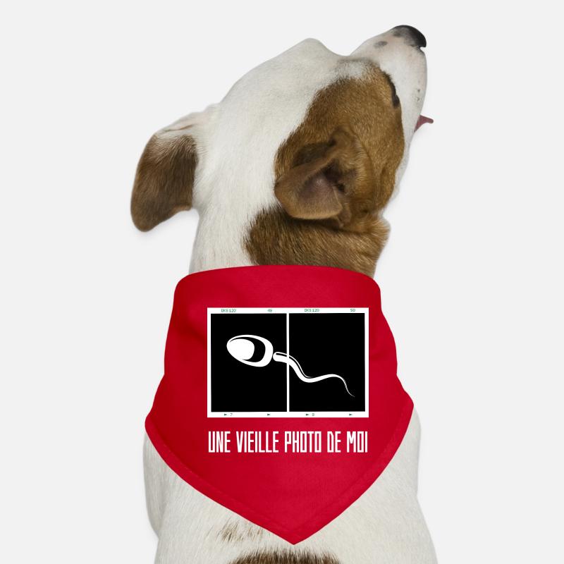 Ein altes Bild von mir Hunde-Bandana