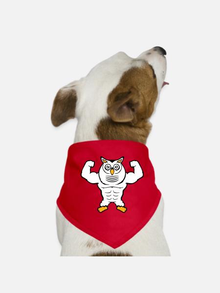 Eule Bodybuilder Muskeln Bizeps Posen Gym Rat Cool - Hunde-Bandana - Rot - Vorne