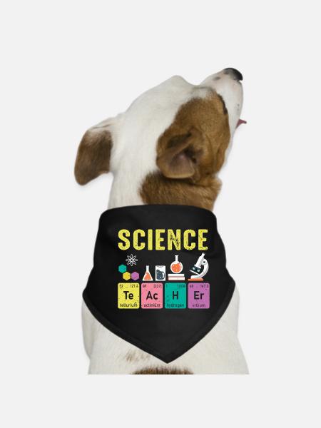 Naturwissenschaft Lehrer Regelmäßige Elemente - Hunde-Bandana - Schwarz - Vorne