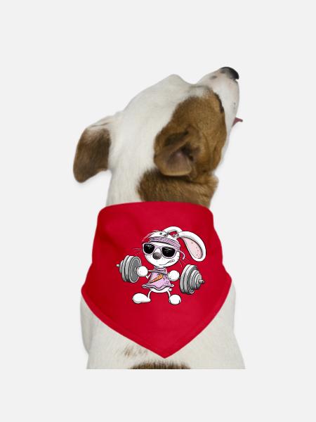 Strength Training Rabbit Fitness Weight Exercise - Dog Bandana - red - Front