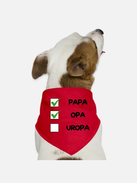 Liste de contrôle OPA - Bandana pour chien - rouge - Devant