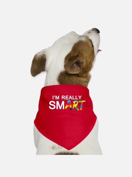 Really SmART 02 - Hunde-Bandana - Rot - Vorne