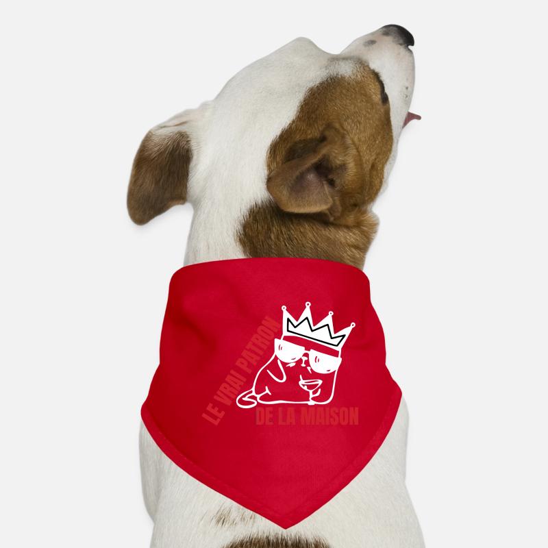 vrai patron de la maison chat Bandana pour chien