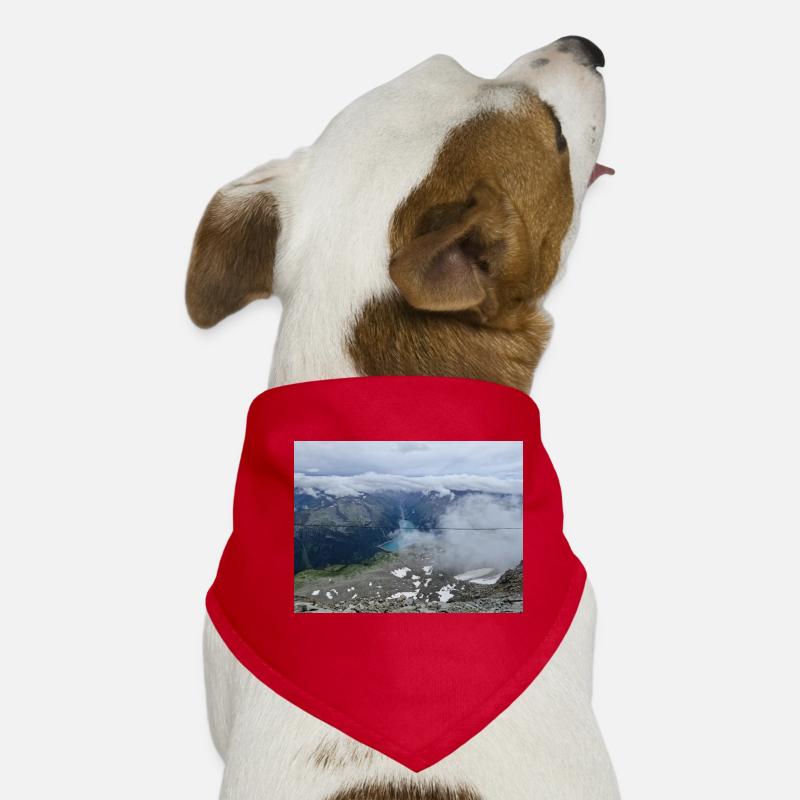 Blick auf den Schlegeis Stausee Hunde-Bandana
