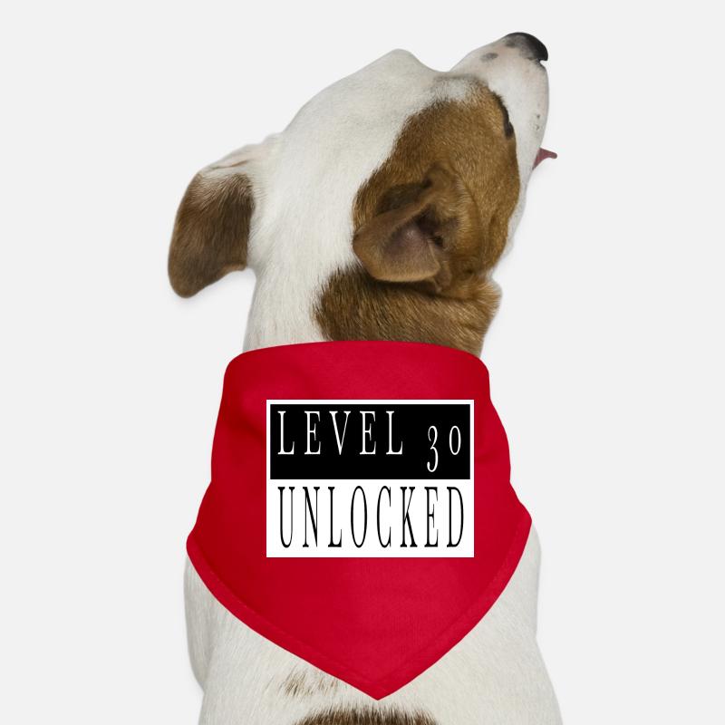 birthday birthday present idea geek cool Hunde-Bandana