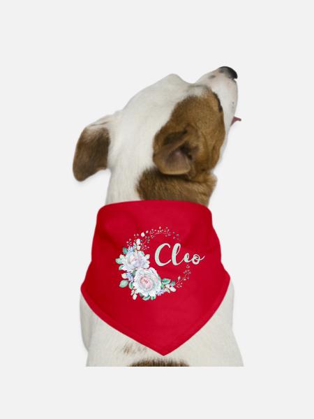 Für Cleo - Hunde-Bandana - Rot - Vorne