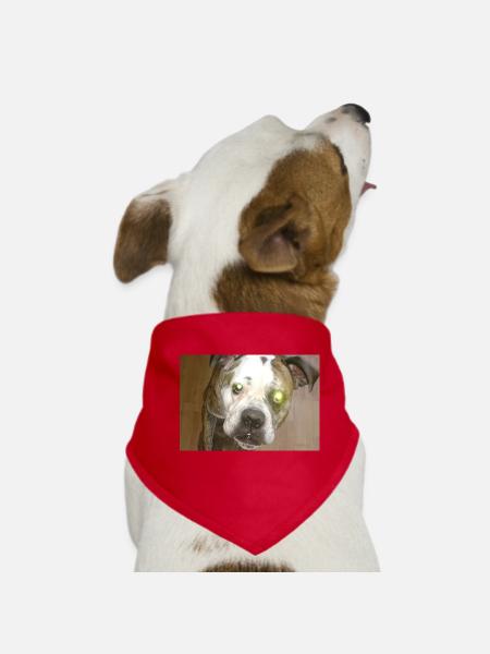 Cute dog with ball - Dog Bandana - red - Front
