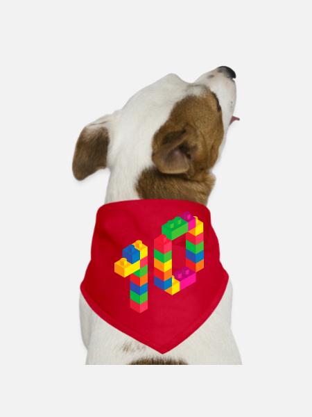 Bâtiment en bloc mignon 10e anniversaire Cadeau 10 ans - Bandana pour chien - rouge - Devant